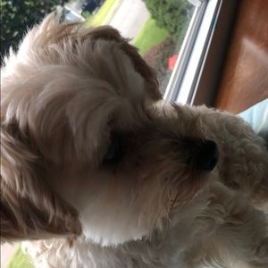 Meet your Posher, Aayla